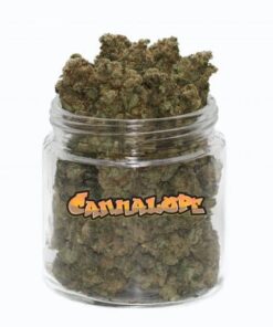 Köp Cannalope Haze Strain Online
