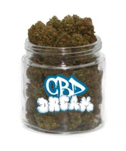 CBD Dream Weed Strain finns att köpa på nätet
