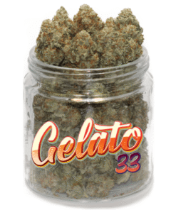 Gelato 33 Strain till salu online