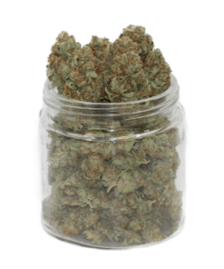 Gold Kush Cannabis Strain till salu online