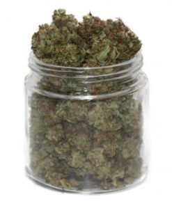 Gorilla Glue #5 Marijuana Strain till salu online