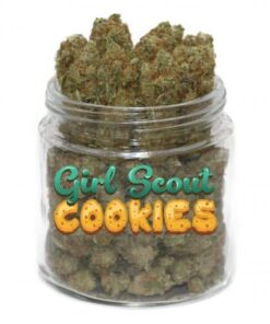 GSC Cannabis Strain for Sale Online