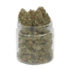 Köp Gushers Cannabis Strain Online