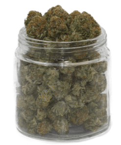 Jet Fuel Marijuana Strain for Sale Online