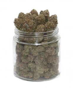 Köp NYC Diesel Strain Online