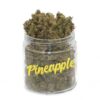 Buy Pineapple Strain Online