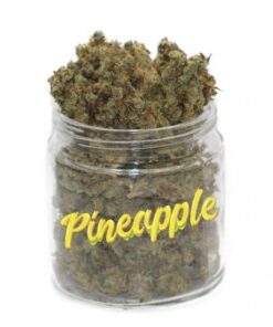 Köp Pineapple Strain Online