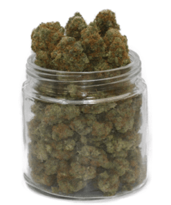 Beställ Platinum GSC Weed Strain Online