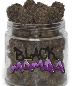 Köp Black Mamba Strain Online