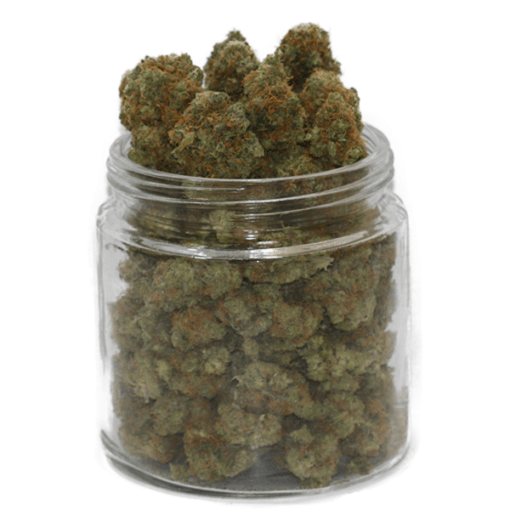 Buy Blueberry Strain Online Buy Blueberry Strain Online