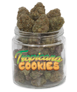 Tropicana Cookies Weed Strain till salu online
