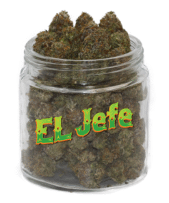 Köp El Jefe Strain Online