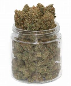 Köp Godfather OG Strain Online
