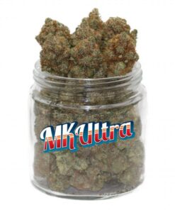 KÖP MK ULTRA STRAIN ONLINE