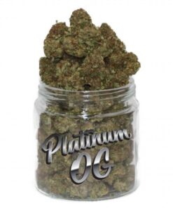 Kop Platinum OG Sverige