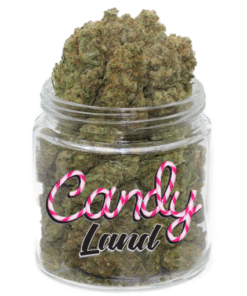 KÖP CANDYLAND STRAIN ONLINE