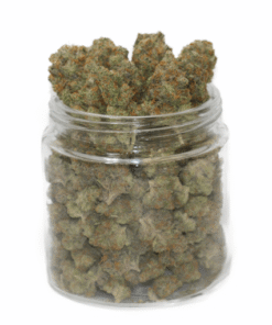 Köp King Tut Weed Strain Online