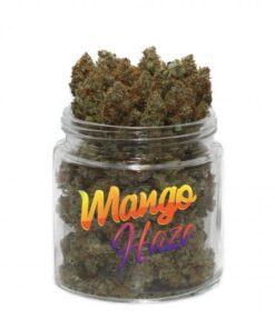 Kop Mango Haze Sverige
