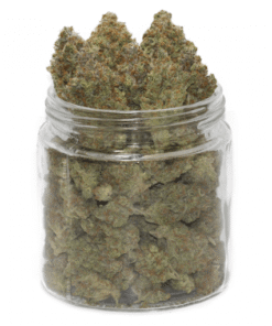 Köp Orange Juice Strain Online