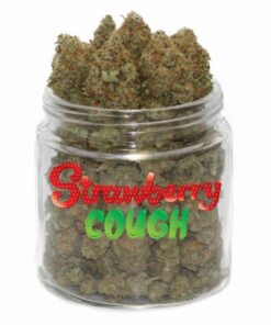 Köp Strawberry Cough Strain Online