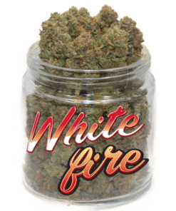 Köp White Fire OG Strain Online