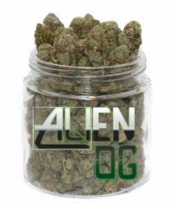 Alien OG Strain till salu online