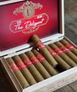 The Diligent by The Burn Down Podcast